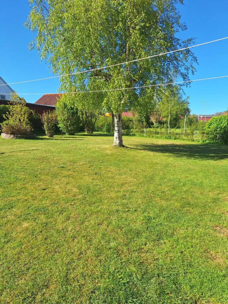 Denne super lækre have skal jeg hjælpe med…