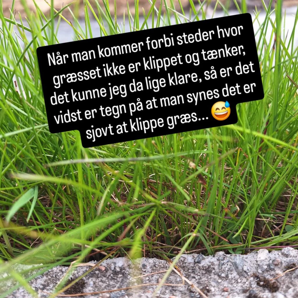 Instagram opslag 18021420737671439