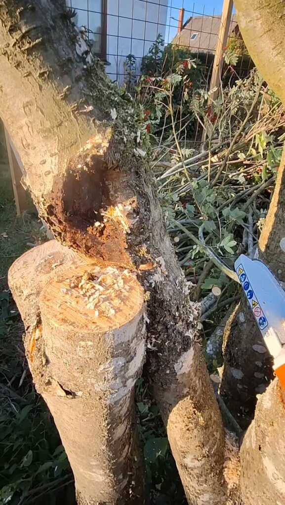 Stihl GTA 26