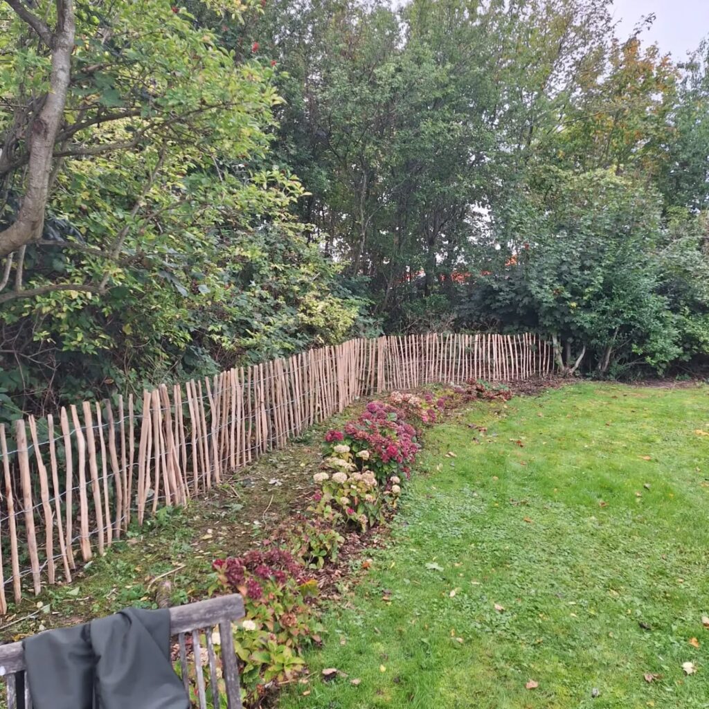 15meter hasselhegn sat op hos en kunde i…